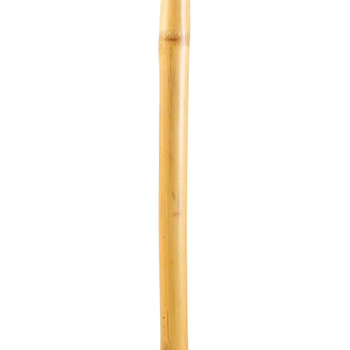 Brazos™ Free Form Walking Stick Wood 48 Inch Height Bamboo (1229050_EA)