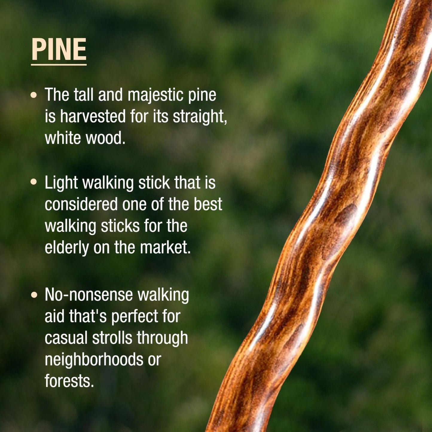 Brazos™ Traveler Walking Stick Wood 55 Inch Height Red Sweet Gum (1237890_EA)