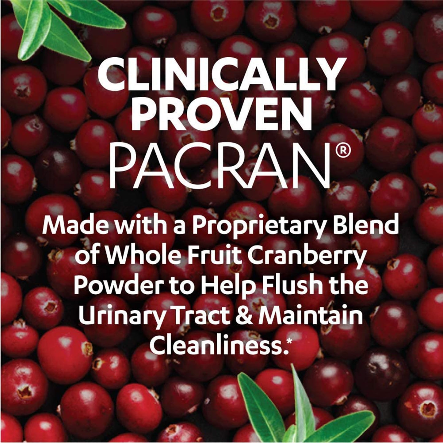 AZO® Urinary Tract Health Dietary Supplement Vitamin C (as ascorbic acid) / Cranberry (Vaccinium macrocarpon) Whole Fruit Powder 120 mg - 500 mg Strength Softgel 100 per Bottle (1065924_BT)