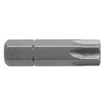Torx Bits