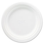 Paper Plates