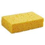 Sponges