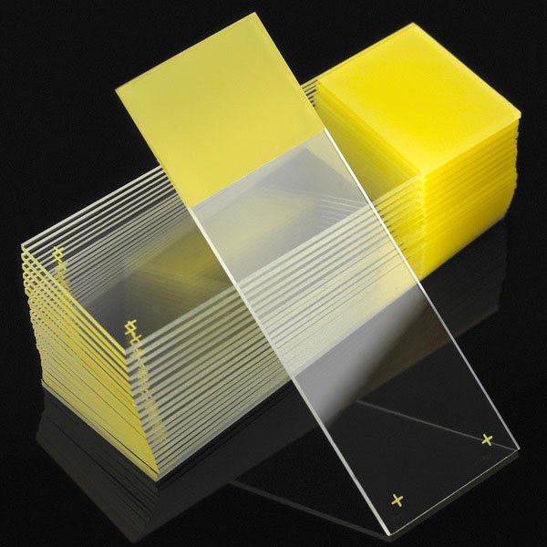 Diamond® White Glass Charged Microscope Slide 25 X 75 X 1 mm Yellow Frosted End (884039_CS)