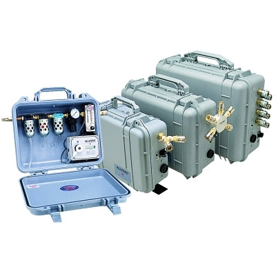 Allegro Carry-Air w/CO Monitor Systems, 2 Worker (037-9872)