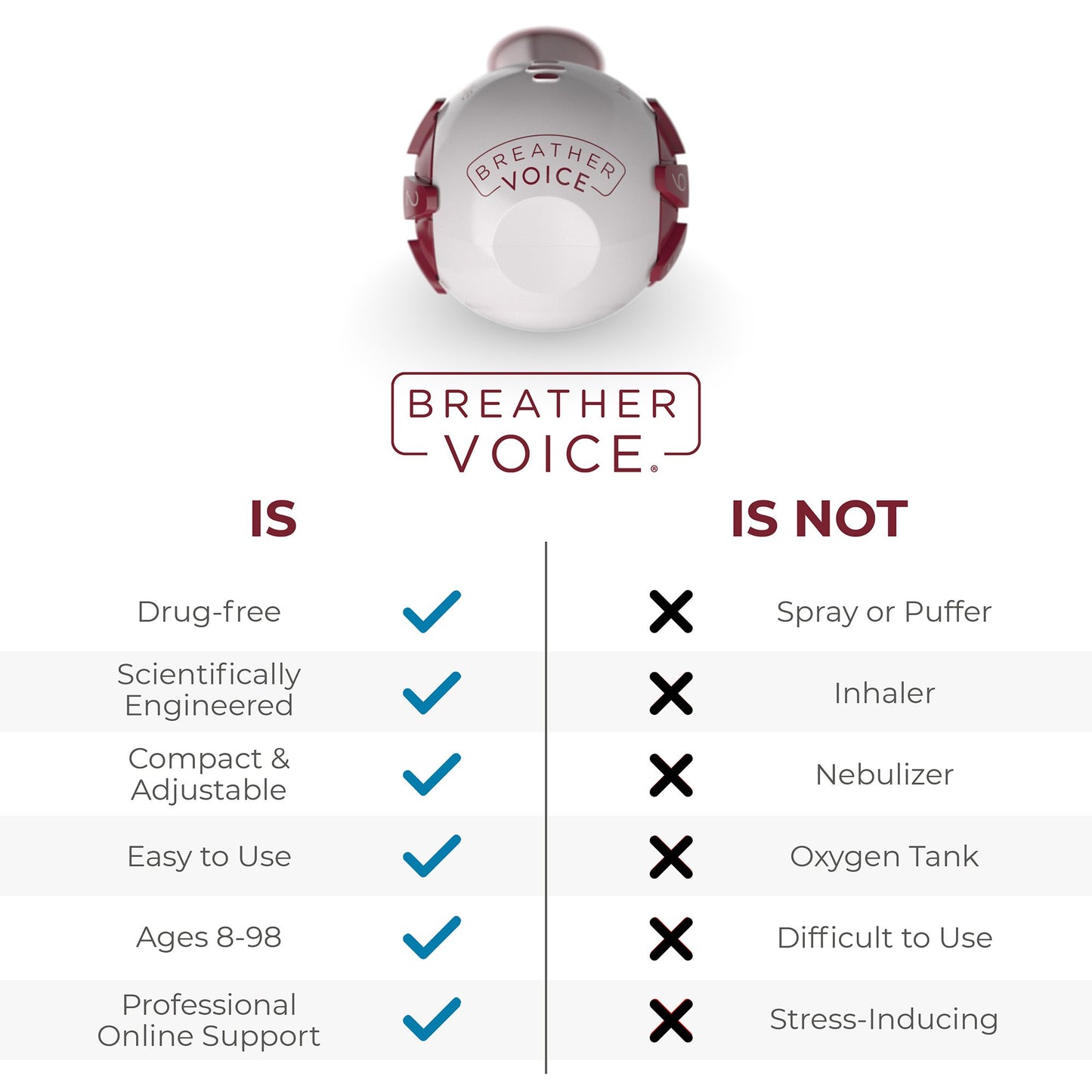 Breather Voice™ Respiratory Therapy System Adult (1228422_EA)
