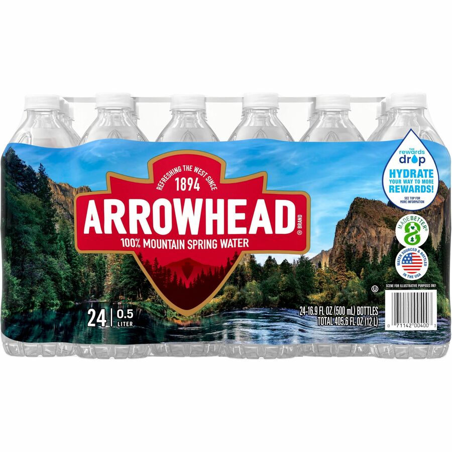 Primo Brands Premium Bottled Spring Water, Ready-to-Drink, 16.91 fl oz (500 mL), 24/Carton (NLE101243)
