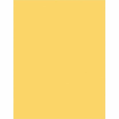 Sparco Premium Grade Pastel Color Copy Paper, 20Lb, 8 1/2 x 11, 10 RM/CT, Canary (SPR05122CT)