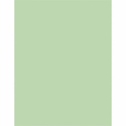 Sparco Premium Grade Pastel Color Copy Paper, Letter, 8 1/2" x 11", 20 lb, Green, 10 Reams/Carton (SPR05123CT)