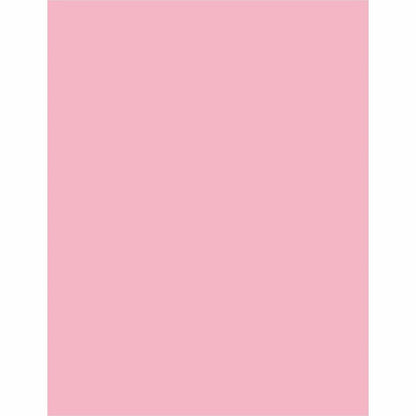 Sparco Premium Grade Pastel Color Copy Paper, Letter, 8 1/2" x 11", 20 lb, Pink, 10 Reams/Carton (SPR05124CT)