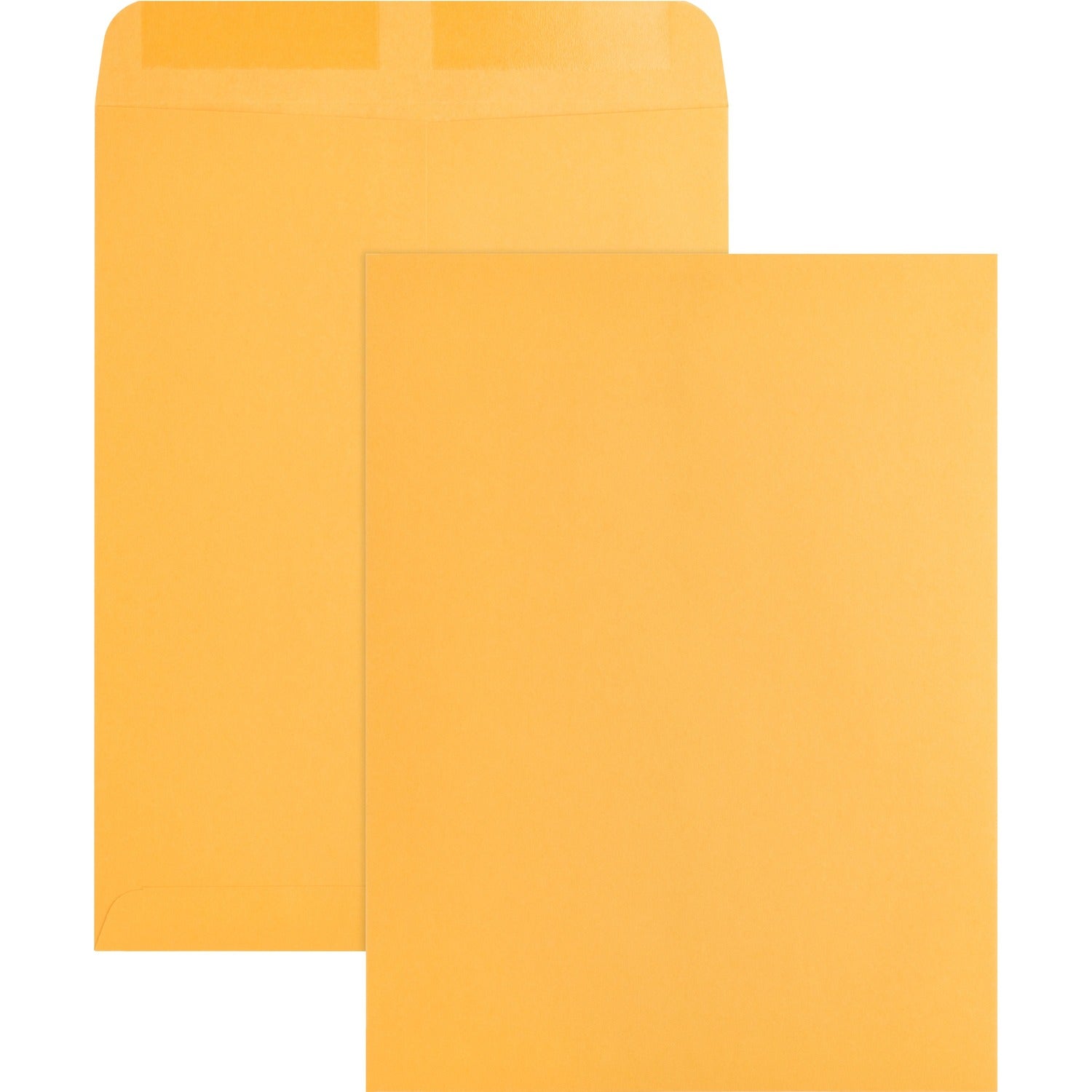 business-source-catalog-envelope-num-bsn42100_1