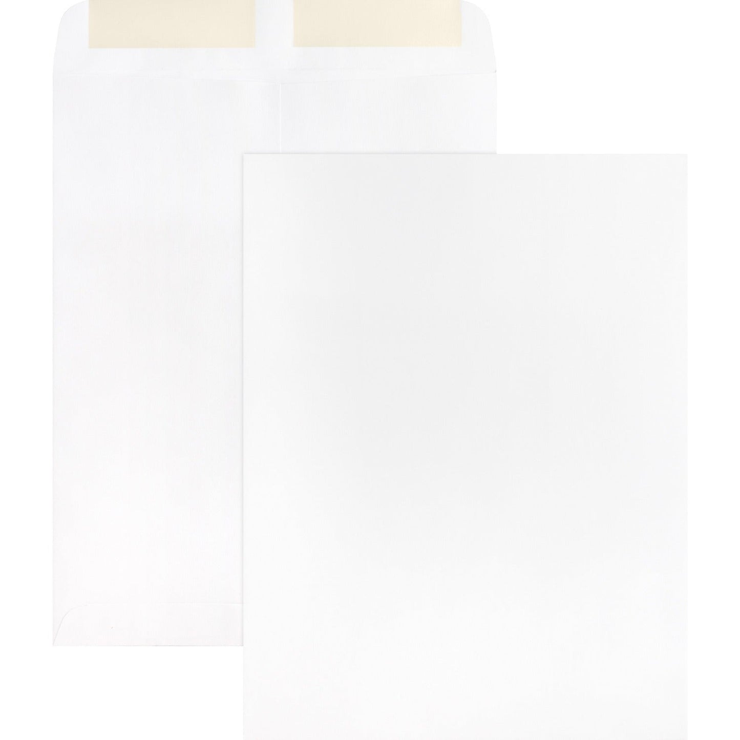 business-source-catalog-envelopes-num-bsn42102_1