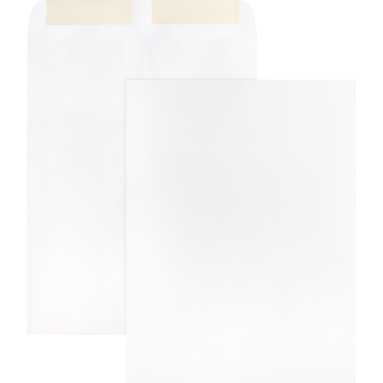 business-source-catalog-envelopes-num-bsn42102_1