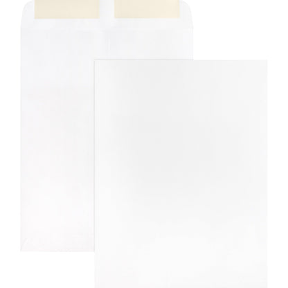 business-source-catalog-envelopes-num-bsn42102_1