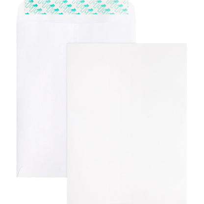 business-source-catalog-envelopes-num-bsn65450_1