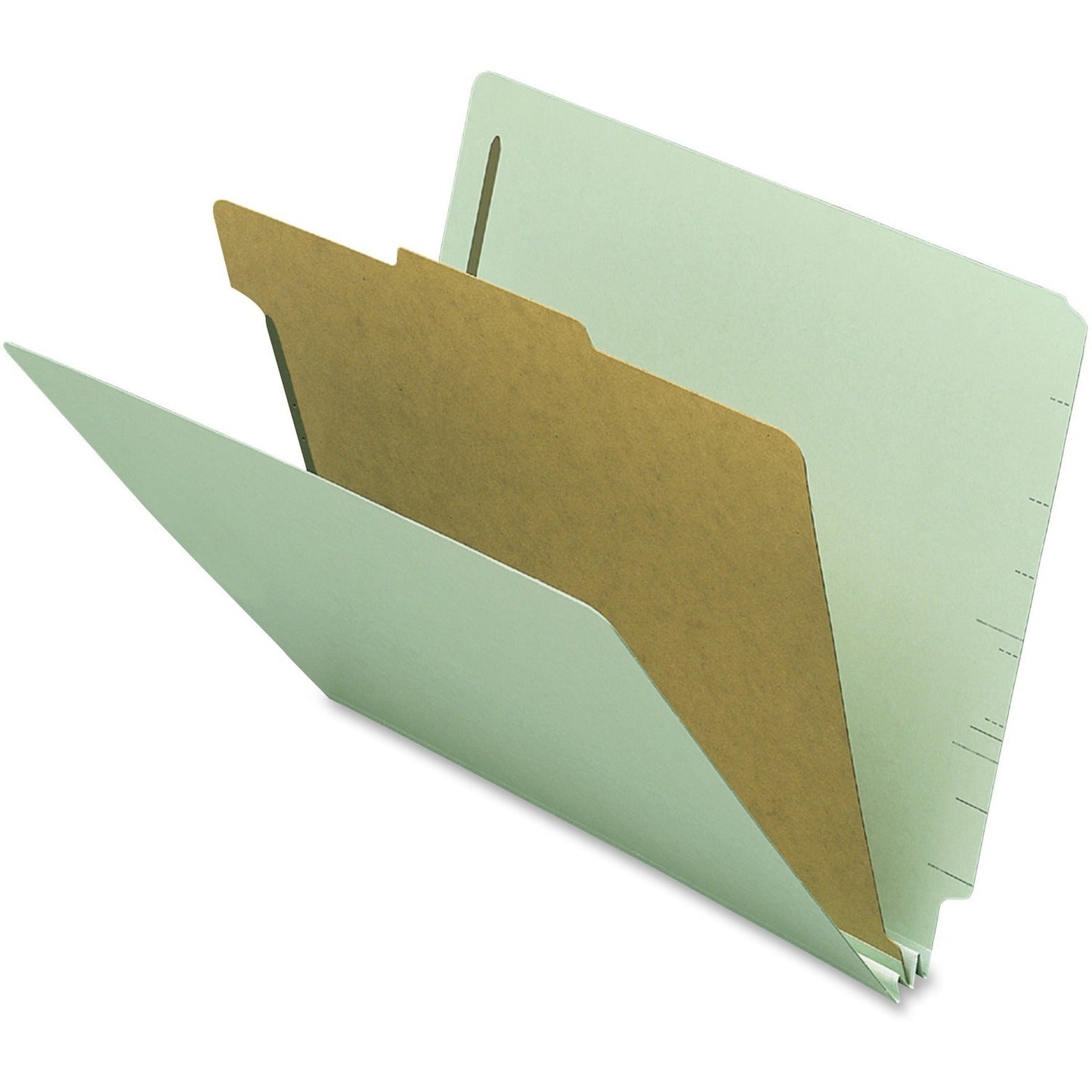 nature-saver-classification-folder-num-natsp17251_1