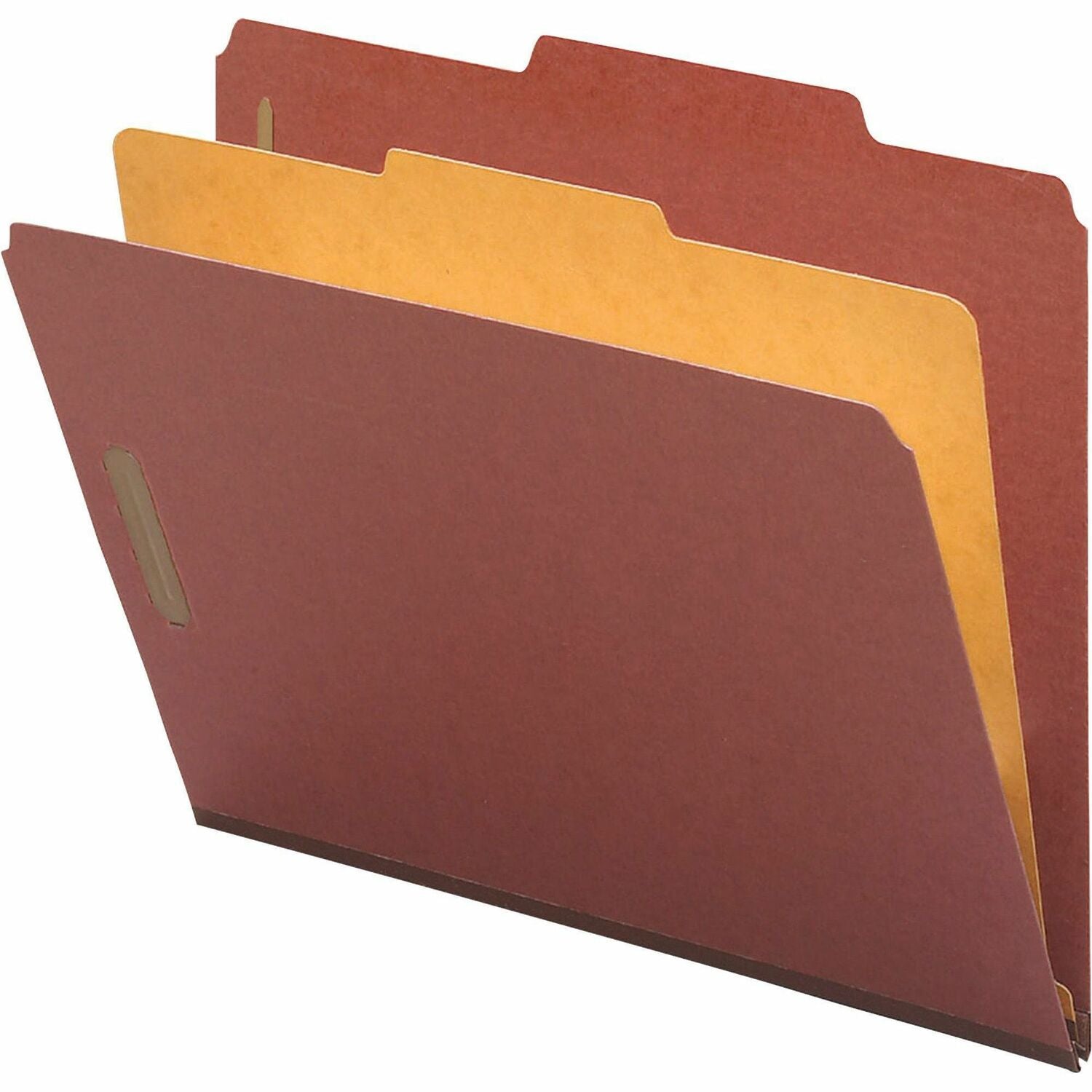 nature-saver-01053-classification-folder-num-nat01053_1