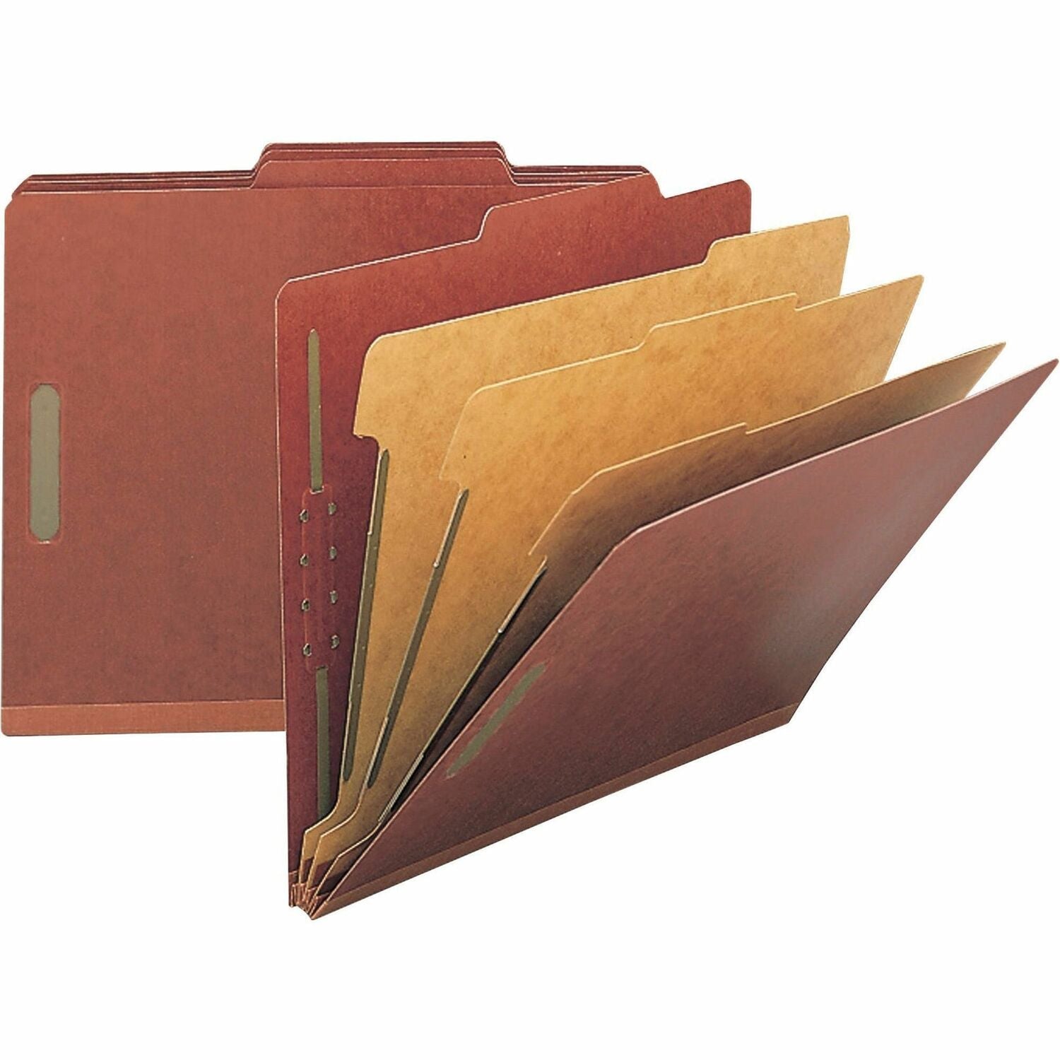 nature-saver-01055-classification-folder-num-nat01055_1