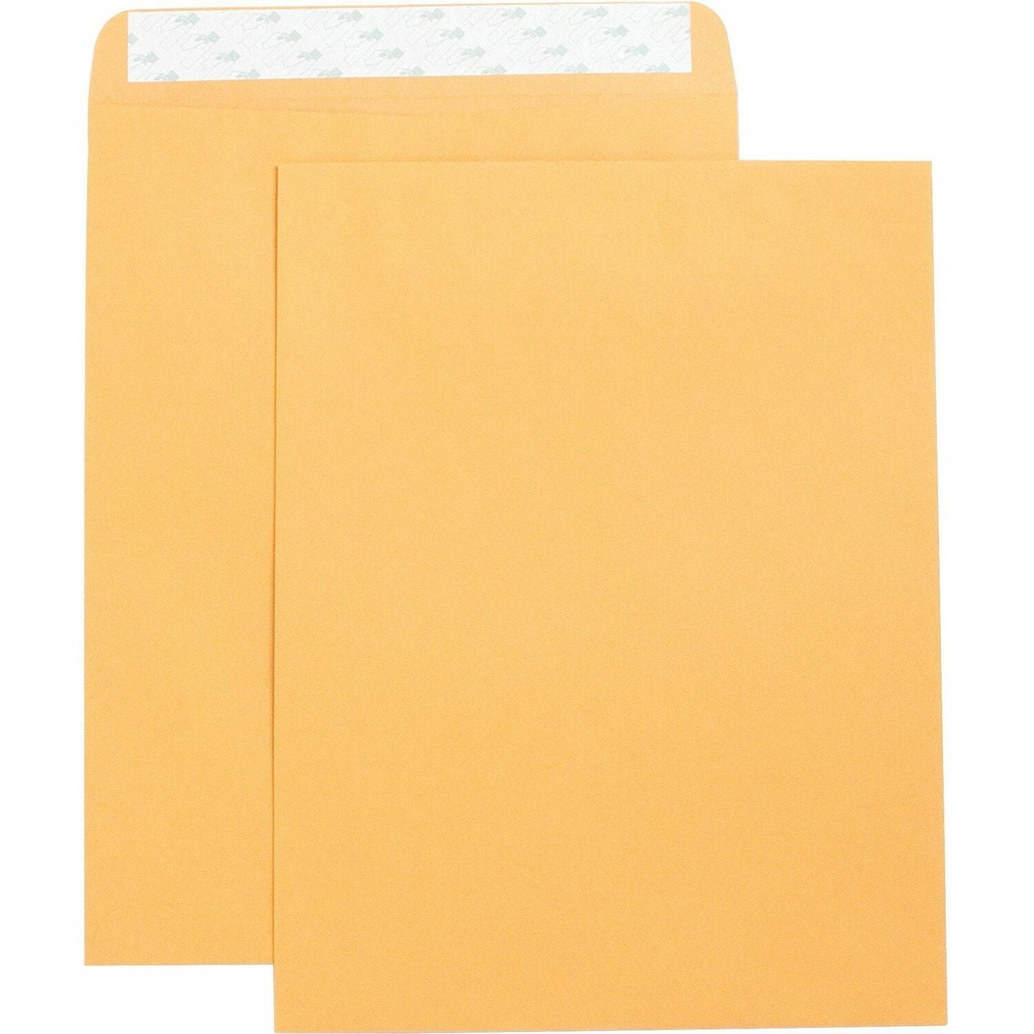 business-source-catalog-envelopes-num-bsn42121_1