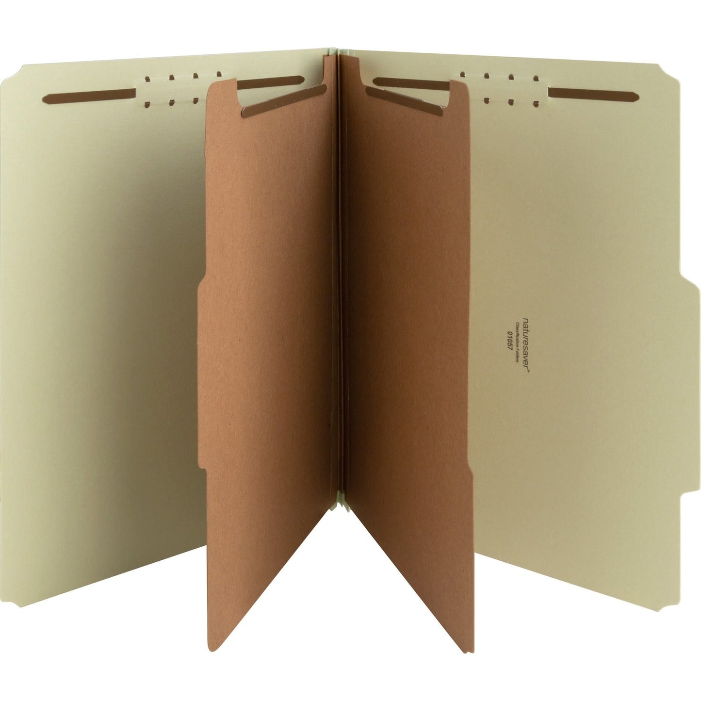 nature-saver-classification-folder-num-nat01057_1