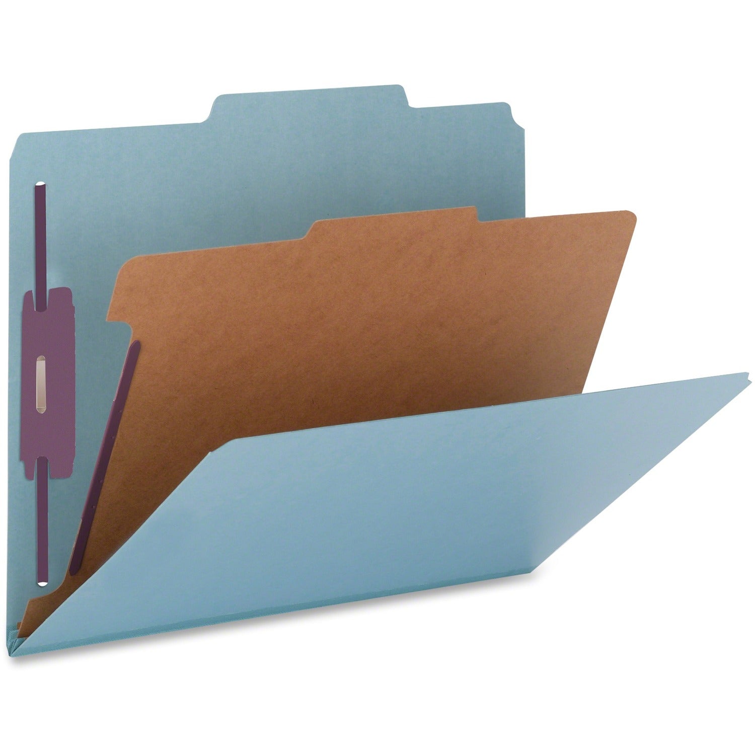 nature-saver-top-tab-1-divider-classification-folder-num-natsp17219_1