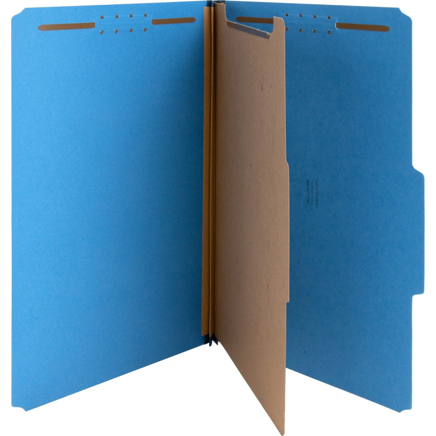 nature-saver-top-tab-1-divider-classification-folder-num-natsp17221_1