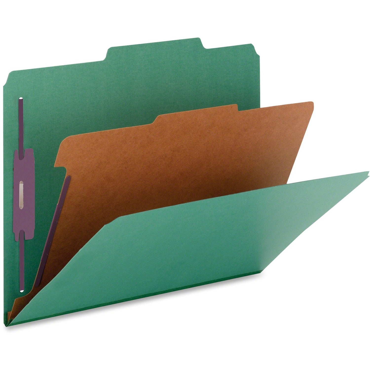 nature-saver-top-tab-1-divider-classification-folder-num-natsp17222_1