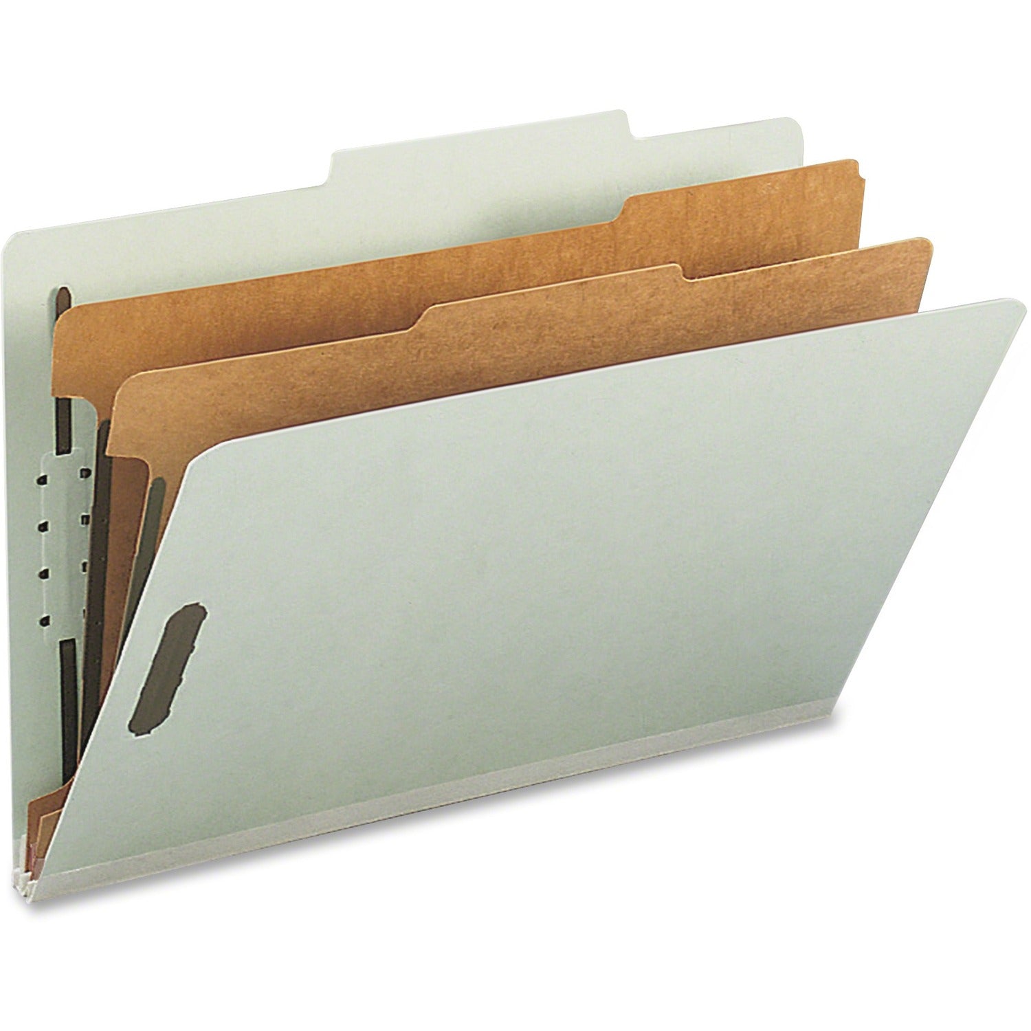 nature-saver-classification-folder-num-nat39951_1