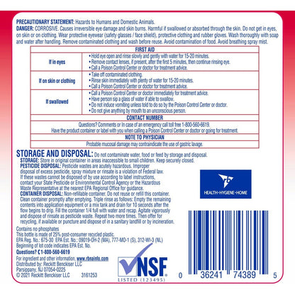Professional Lysol No Rinse Sanitizer, Concentrate, 128 fl oz (RAC74389)