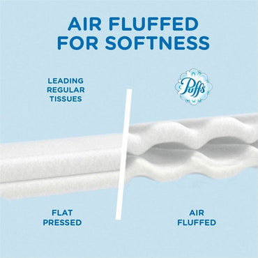 Puffs Basic Facial Tissues, 2 Ply, AssortedBox, 180/Box, 8/Carton (PGC87615CT)