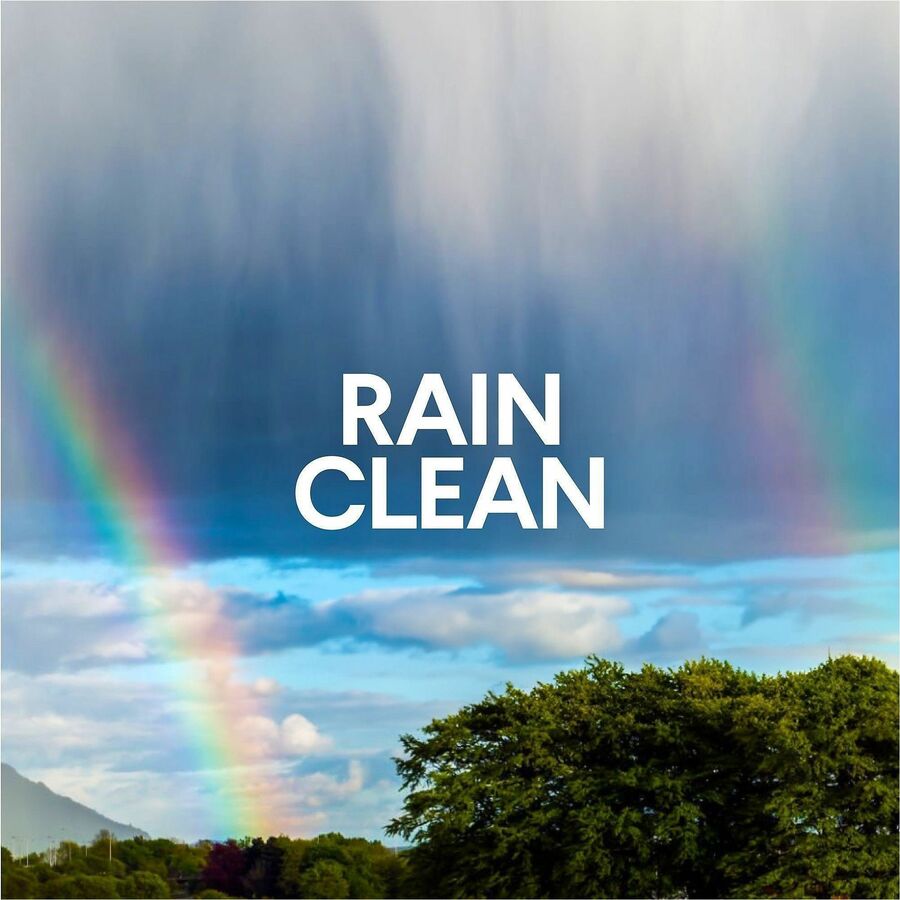 Clorox Clean-Up Multi-Surface Cleaner with Bleach, Spray, 32 fl oz, Rain Clean Scent (CLO30197)