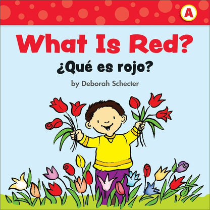 scholastic-first-little-readers-book-set-printed-book-by-deborah-schecter-book-english-spanish-level-a-shs1338662074_20
