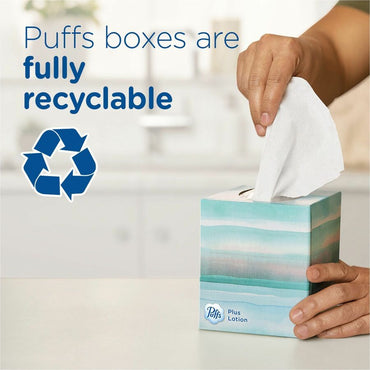 puffs-basic-facial-tissue-green-124-box-24-carton-pgc39346ct_2