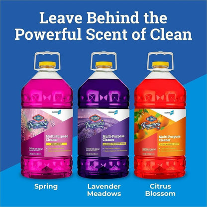 CloroxPro Fraganzia Multi-Purpose Cleaner, 175 fl oz (5.5 quart), Citrus Blossom Scent, (CLO60615EA)
