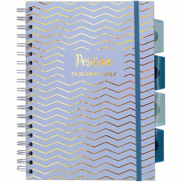 Pukka Pads Haze Notebook, Clear Poly, Transparent Cardboard Cover, Twin Wirebound, 100 Sheets, 200 Pages, 3/Pack (PKP9975ASTHZE)