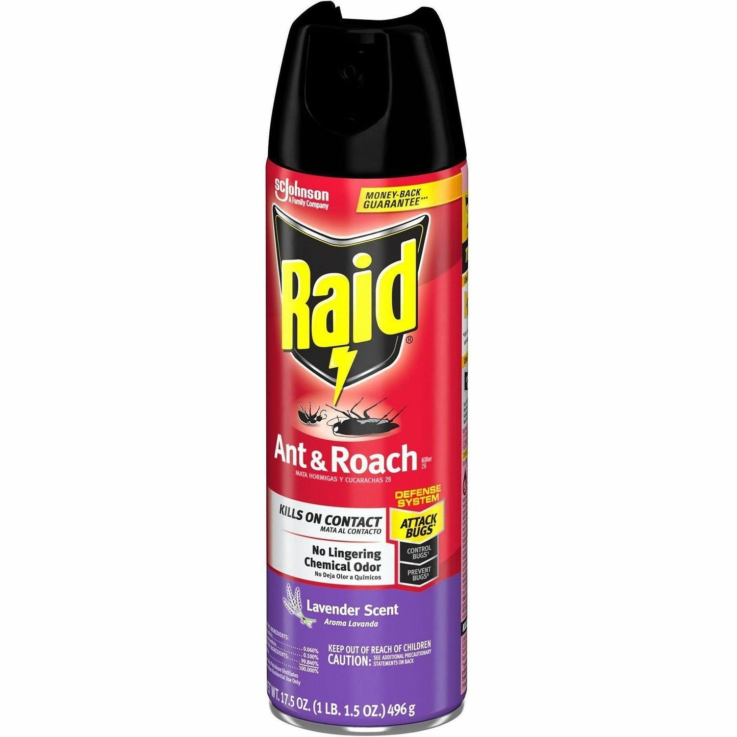 Raid Ant & Roach Killer Spray, 17.50 fl oz (SJN386221EA)