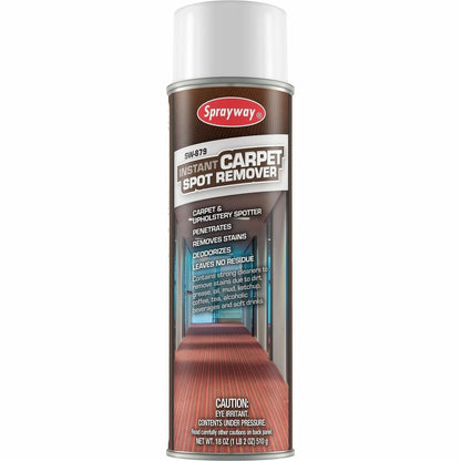 Sprayway Spot & Stain Remover, 20 fl oz, Mild Scent (CGCSW879)