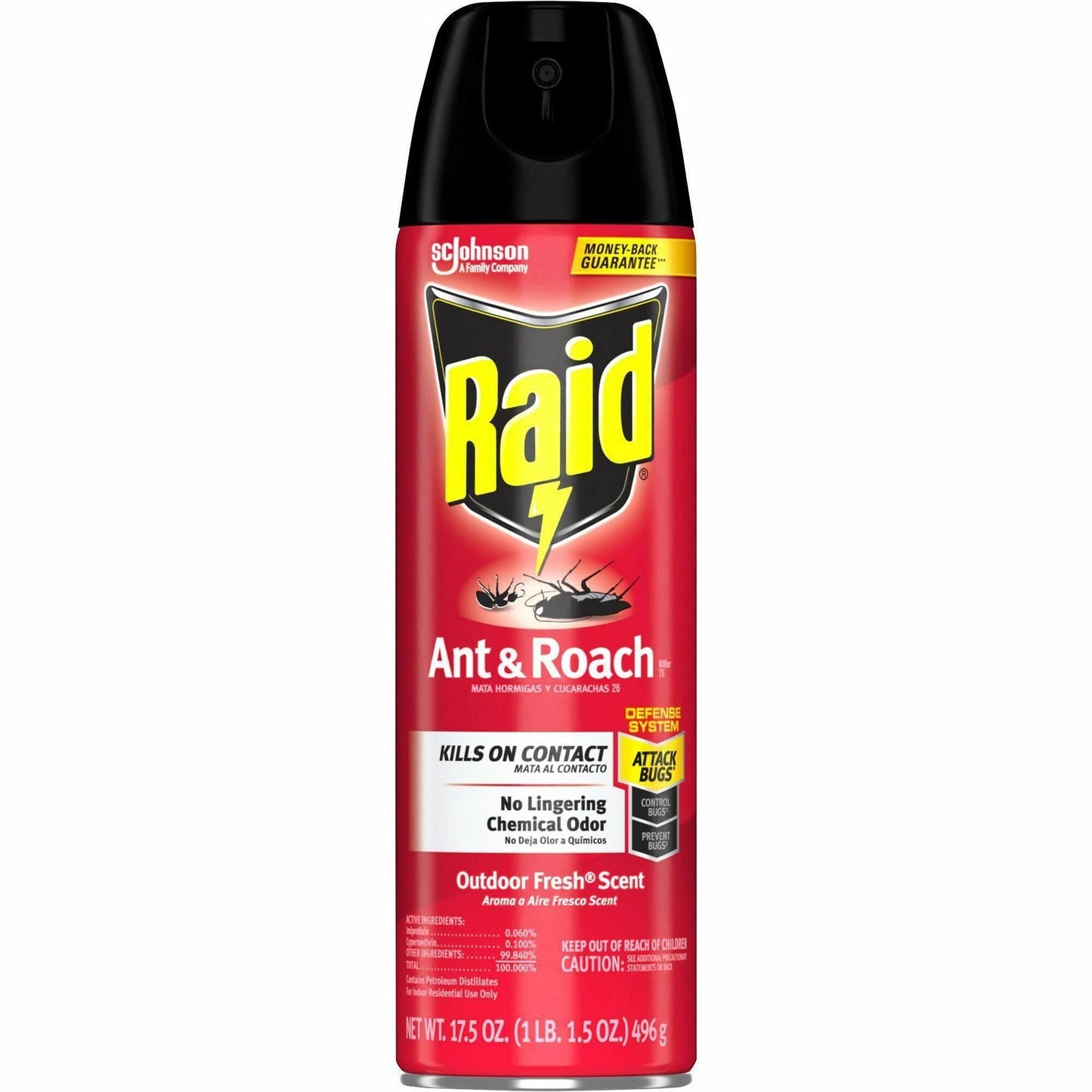 Raid Ant & Roach Killer Spray, 17.50 fl oz (SJN386220EA)