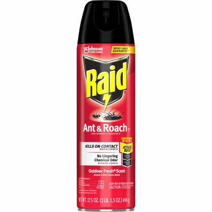 Raid Ant & Roach Killer Spray, 17.50 fl oz (SJN386220EA)