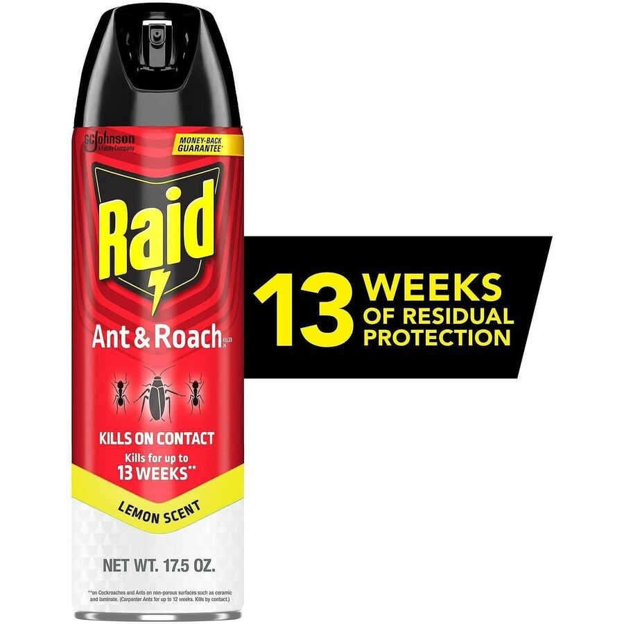 Raid Ant & Roach Killer Sprays, 17.05 fl oz (SJN386214)