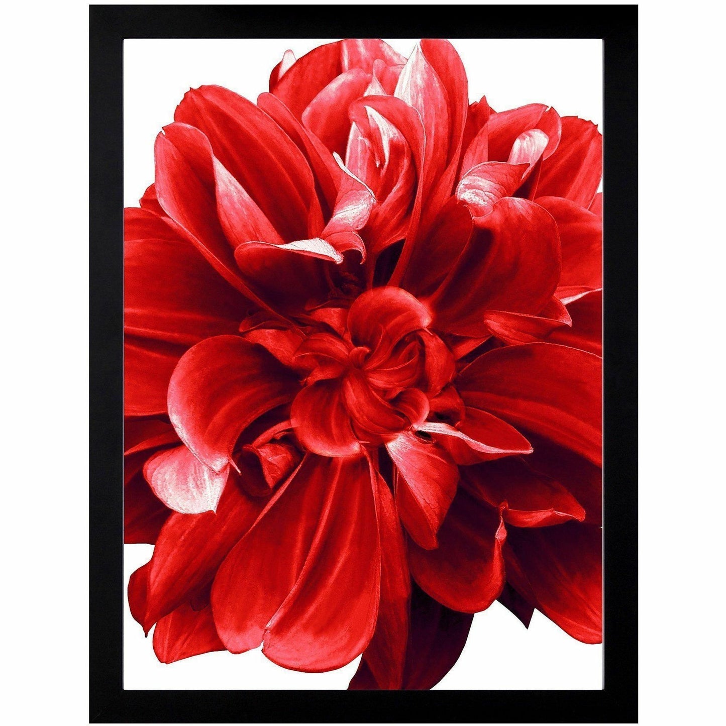 Lorell Wide Frame, 18" Frame Size, Rectangle, Horizontal, Vertical, Wood, Black, 8/Carton (LLR49312CT)
