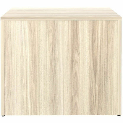 Lorell Essentials 2-Door Storage Cabinet, Modern Elm (LLR66333)