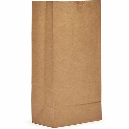AJM #8 Kraft Paper Grocery Bags, 500/Carton (AJMGB08NP5CES)