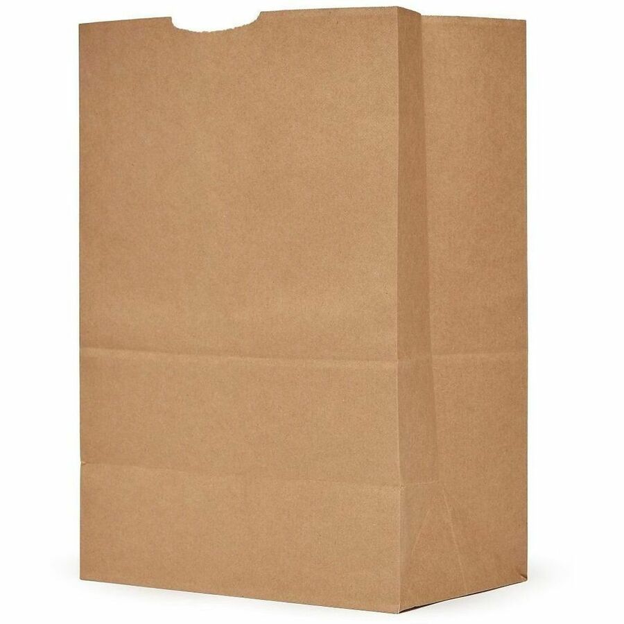 AJM 1/6 BBL #75 Kraft Paper Grocery Sacks, 6.72 gal Capacity, Natural Kraft, 400/Carton (AJMGS75NP4CES)