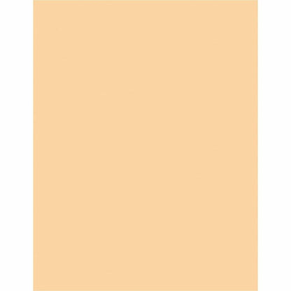 Sparco Premium Grade Pastel Color Copy Paper, Letter, 8 1/2" x 11", 20 lb, Ivory, 10 Reams/Carton (SPR05127CT)
