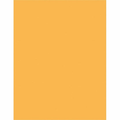 Sparco Premium Grade Pastel Color Copy Paper, 20Lb, 8 1/2 x 11, 10 RM/CT, Goldenrod (SPR05125CT)