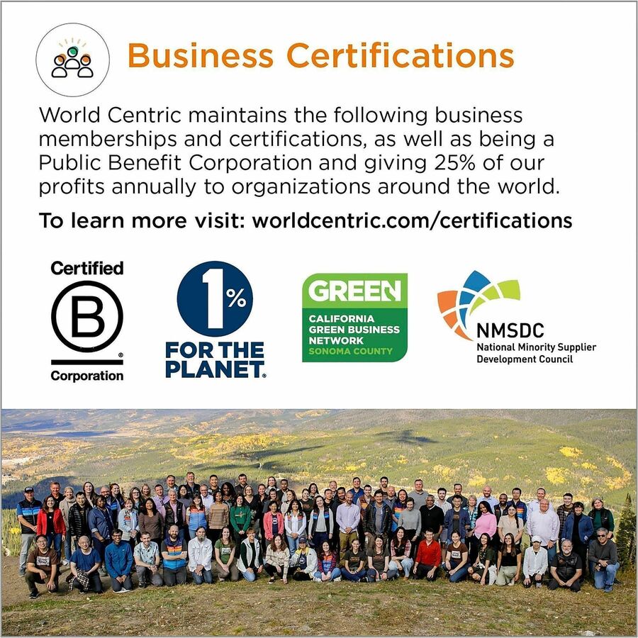 World Centric Compostable Fiber Plate, 6" Diameter, Food, Natural, Bamboo, 1000/Carton (WORPLSCU6LFP)