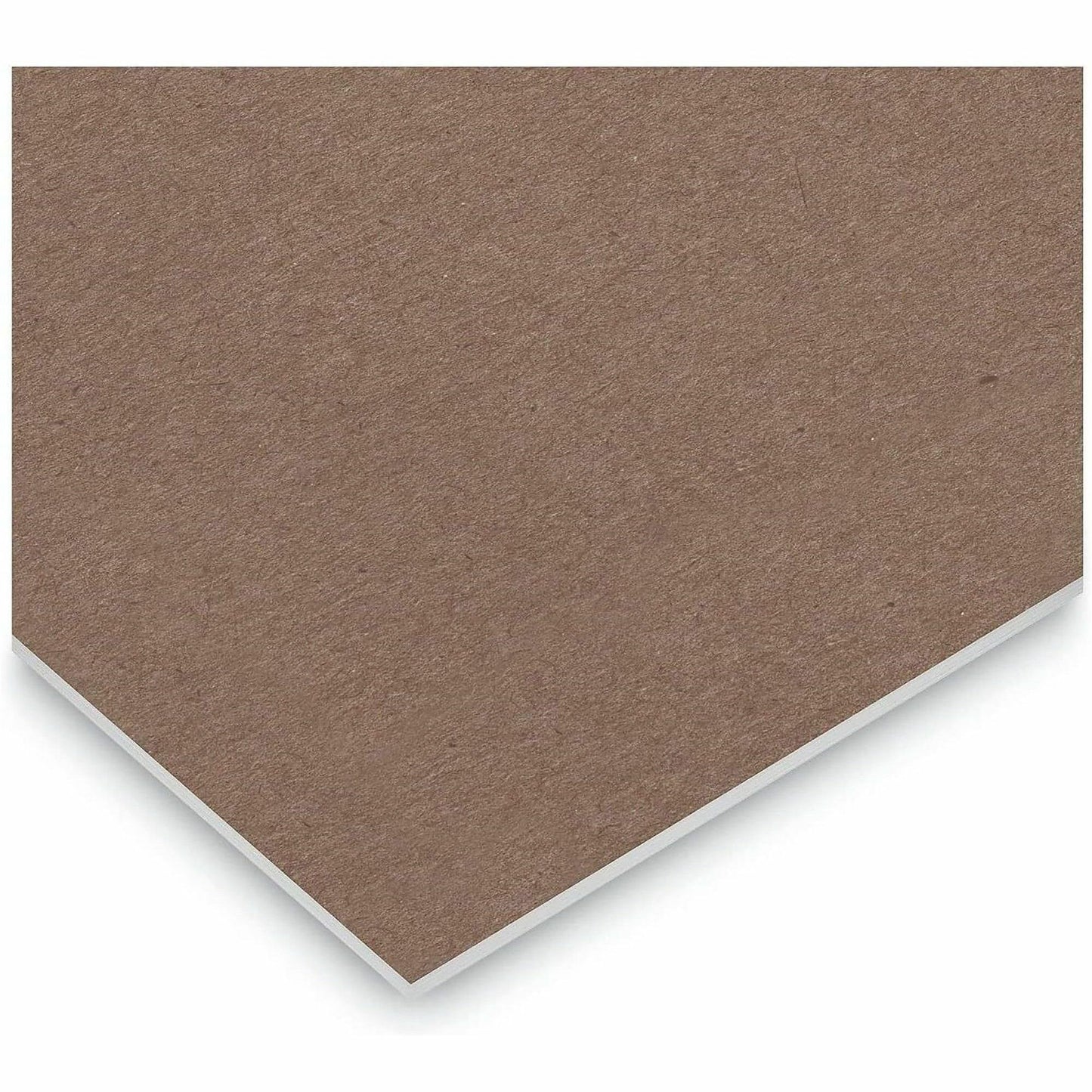 Business Source Green Tint Steno Notebook, 1 Subject, 6" x 9" Sheet Size, Red Cover, 6/Pack (BSN96920)