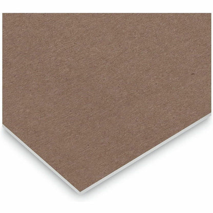 Business Source Green Tint Steno Notebook, 1 Subject, 6" x 9" Sheet Size, Red Cover, 6/Pack (BSN96920)