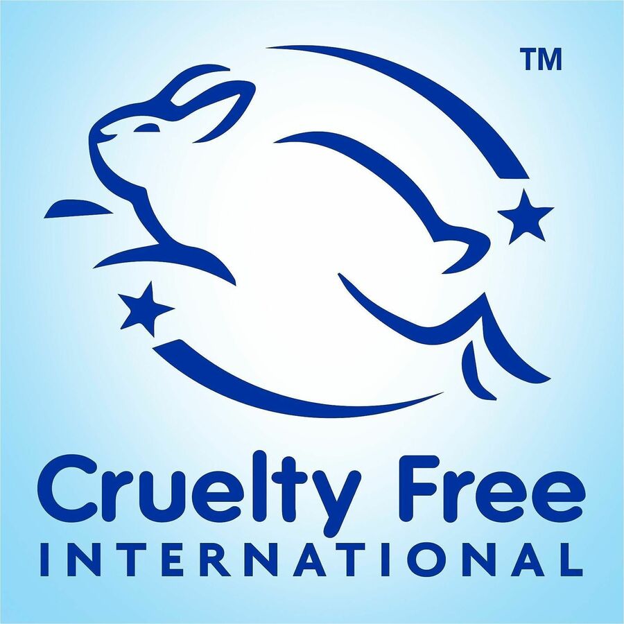 Dial Refresh & Renew Body Wash, Spring Water Scent, 16 fl oz, 6/Carton (DIA02653CT)