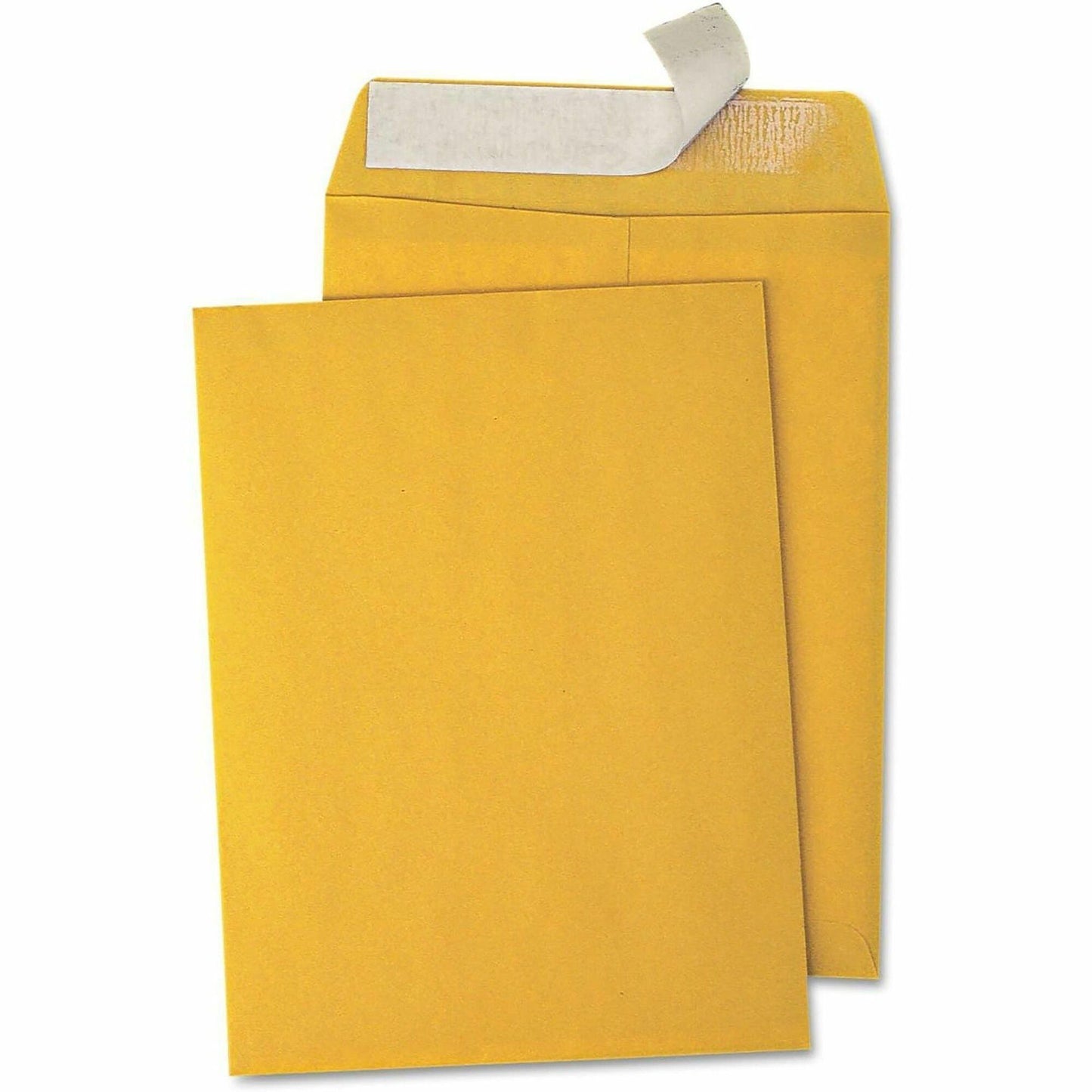 Business Source Kraft Peel-and-Stick Catalog Envelopes, Catalog, 9" Width x 12" Length, Peel & Stick, Brown, Kraft Paper, 100/Box (BSN40102)